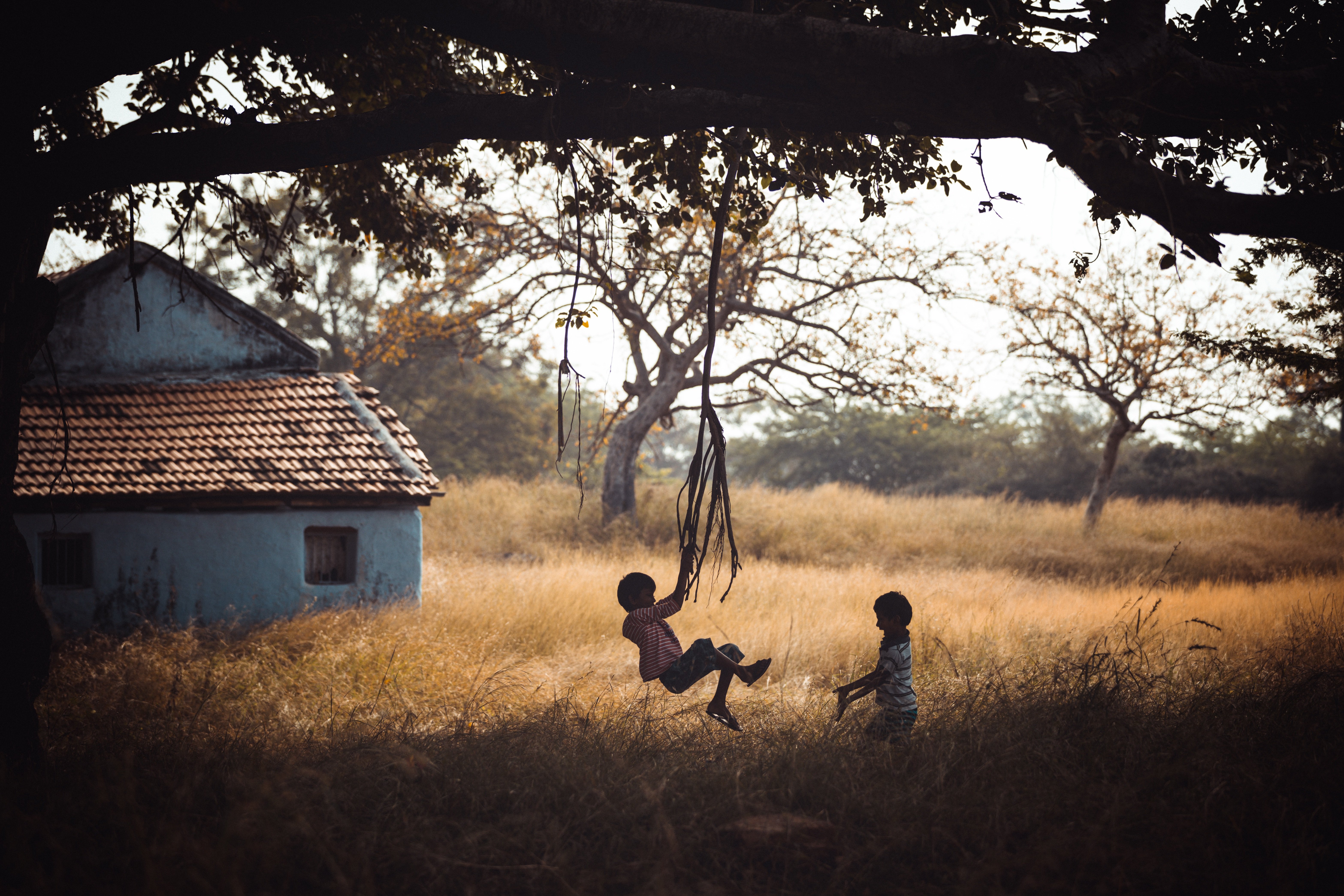 Two children playing on a tree swing at golden hour in rural Colombia